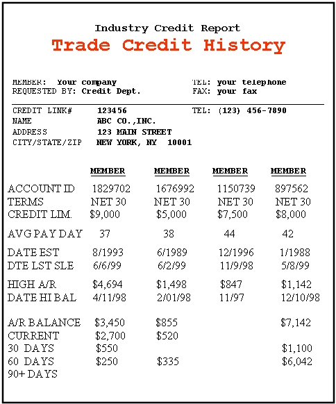 Credit Link Credit History Report